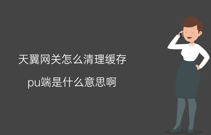 天翼网关怎么清理缓存 pu端是什么意思啊？